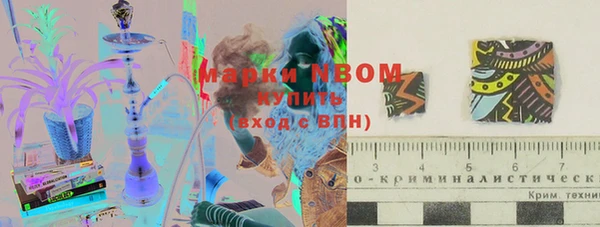 мяу мяу мука Арсеньев