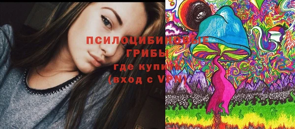 мяу мяу мука Арсеньев
