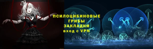 мяу мяу мука Арсеньев