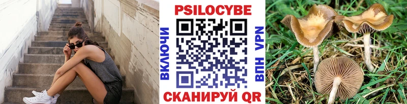 Галлюциногенные грибы прущие грибы  Багратионовск 